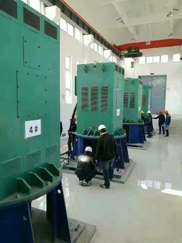 YKS5601-4某污水处理厂使用我厂的立式高压电机安装现场