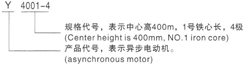 西安泰富西玛Y系列(H355-1000)高压YKS5601-4三相异步电机型号说明