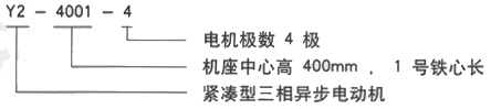 YR系列(H355-1000)高压YKS5601-4三相异步电机西安西玛电机型号说明